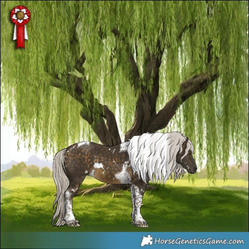 Horse Color:White Spotted Silver Buckskin Tobiano 