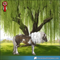 Horse Color:White Spotted Silver Buckskin Tobiano 