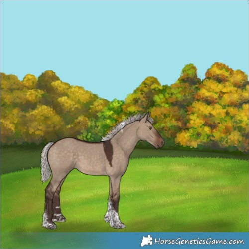 Horse Color:Silver Brown Dun Tobiano 