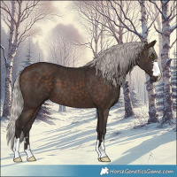 Horse Color:Silver Brown