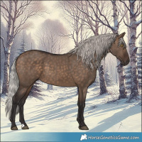 Horse Color:Silver Brown Dun 