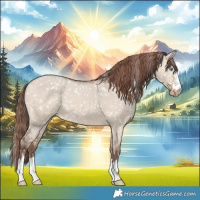 Horse Color:Sable Champagne Dun Snowflake Varnish