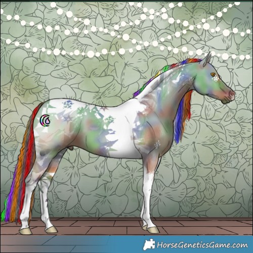 Horse Color:Painted Nacre Bay Dun Tobiano 