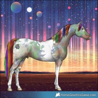 Horse Color:Painted Nacre Bay Dun Tobiano