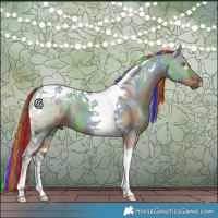 Horse Color:Painted Nacre Bay Dun Tobiano 