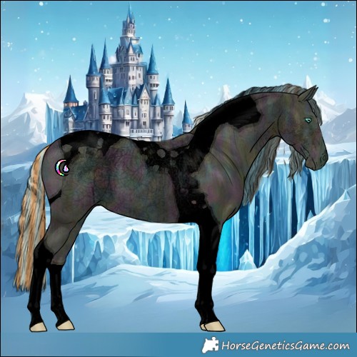 Horse Color:Void Painted Midnight Smoky Black Ice Pearl Tobiano 