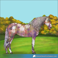 Horse Color:Nacre Silver Brown Ice Dun Tobiano