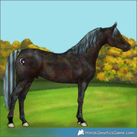 Horse Color:Void Painted Midnight Brown Ice