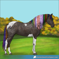 Horse Color:Painted Liver Chestnut Tobiano 