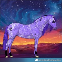 Horse Color:Void Watercolor Black Ice