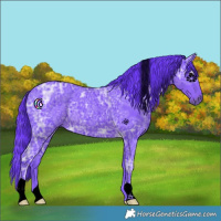 Horse Color:Void Watercolor Black Ice