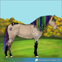 Horse Color:Gray Painted White Spotted Classic Champagne Dun Tobiano 
