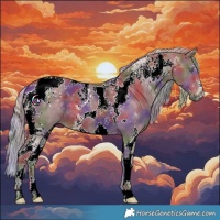 Horse Color:Nacre Silver Black Tobiano 