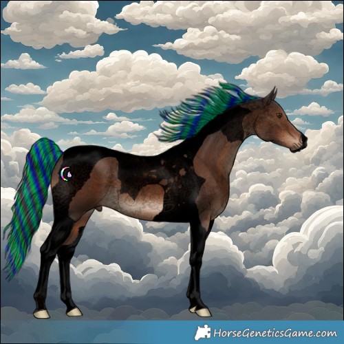 Horse Color:Void Painted Liver Chestnut Tobiano