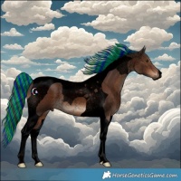 Horse Color:Void Painted Liver Chestnut Tobiano 