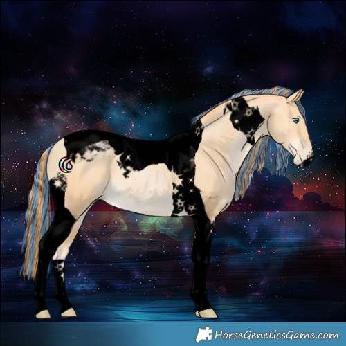 Horse Color:Void Painted Buckskin Pearl Tobiano 