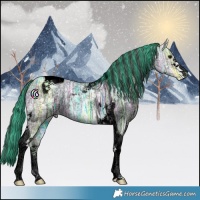 Horse Color:Void Painted Smoky Black Ice Tobiano 