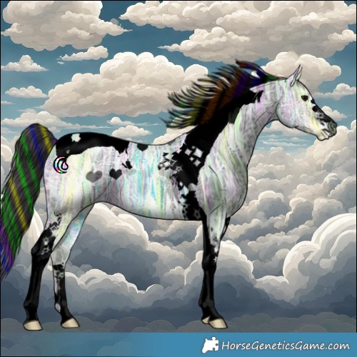 Horse Color:Void Painted Smoky Black Ice Tobiano 