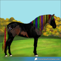 Horse Color:Void Painted Brown Splash Tobiano