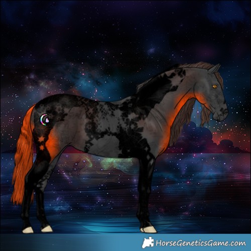 Horse Color:Void Black Tobiano