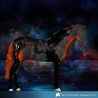 Horse Color:Void Black Tobiano