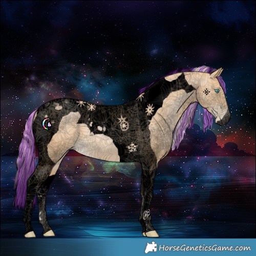 Horse Color:Void Painted Palomino Pearl Tobiano