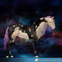 Horse Color:Void Painted Palomino Pearl Tobiano 