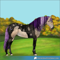 Horse Color:Void Painted Palomino Pearl Tobiano