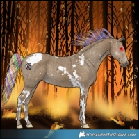 Horse Color:Painted Silver Smoky Black Tobiano 