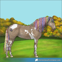 Horse Color:Painted Silver Smoky Black Tobiano