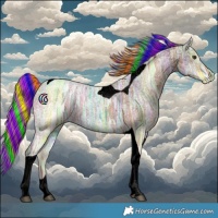 Horse Color:Void Painted Chestnut Ice Tobiano
