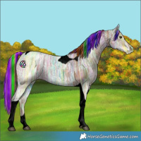 Horse Color:Void Painted Chestnut Ice Tobiano 