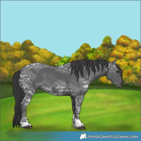 Horse Color:Black Ice Tobiano