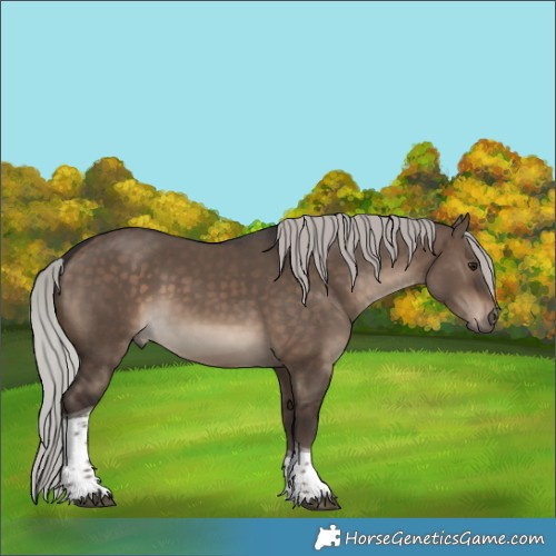 Horse Color:Silver Brown Dun Tobiano