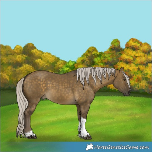 Horse Color:Silver Buckskin Dun Tobiano