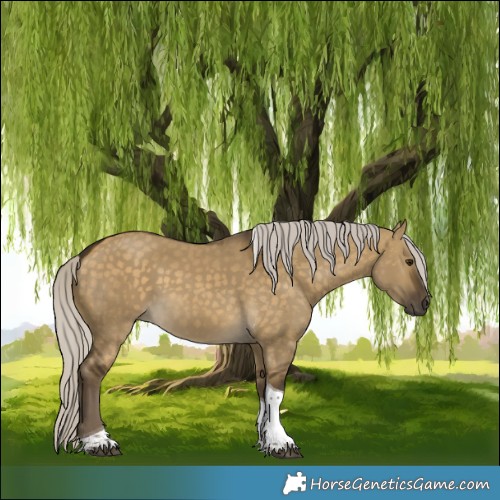 Horse Color:Silver Buckskin Dun Tobiano 