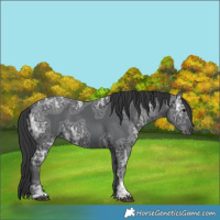 Horse Color:Black Ice