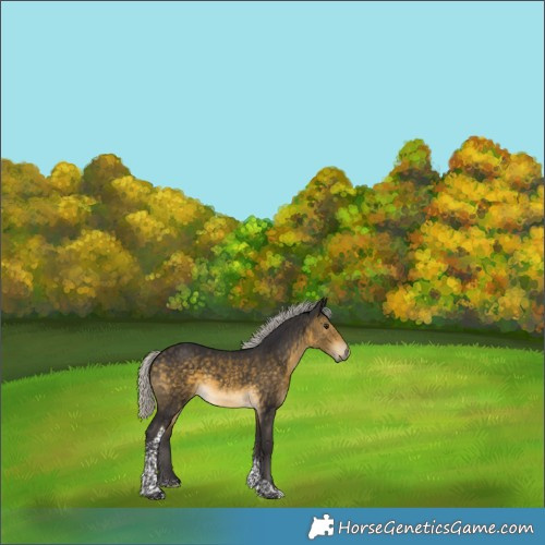 Horse Color:Silver Buckskin Tobiano