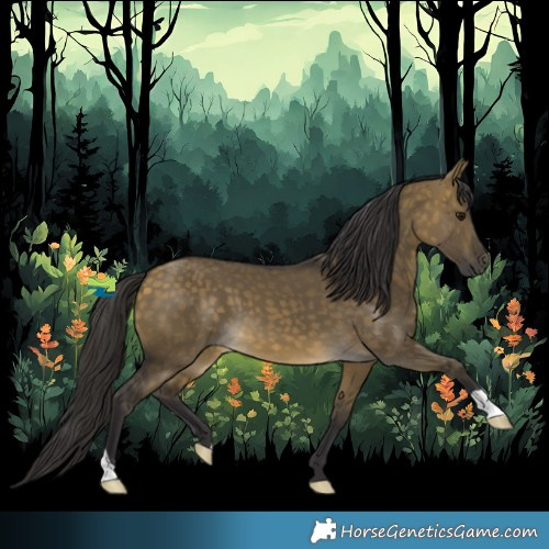 Horse Color:Buckskin Dun 