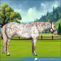 Horse Color:Chestnut Near Leopard 