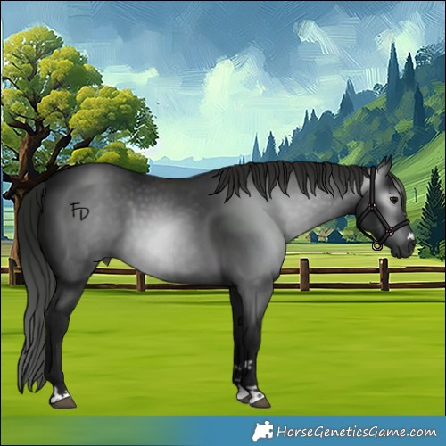Horse Color:Gray Black