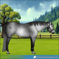Horse Color:Gray Black 