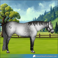 Horse Color:Gray Black 