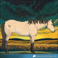 Horse Color:Buckskin 