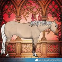 Horse Color:Silver Bay Dun