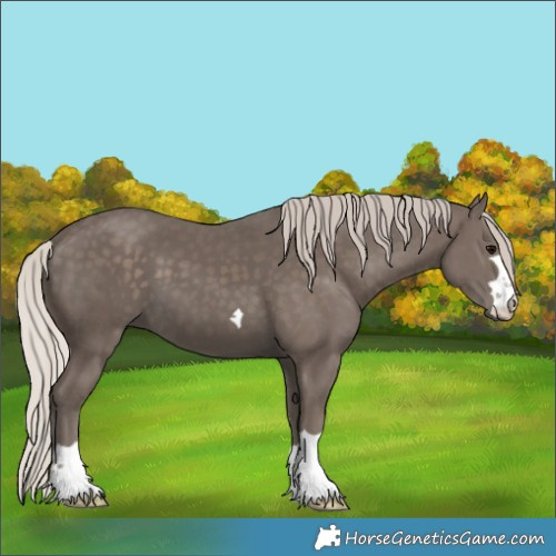 Horse Color:Silver Black 