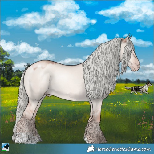 Horse Color:Gold Champagne Dun Mushroom Rabicano 