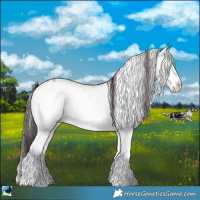 Horse Color:Classic Champagne Onyx Mushroom Sabino Brindle