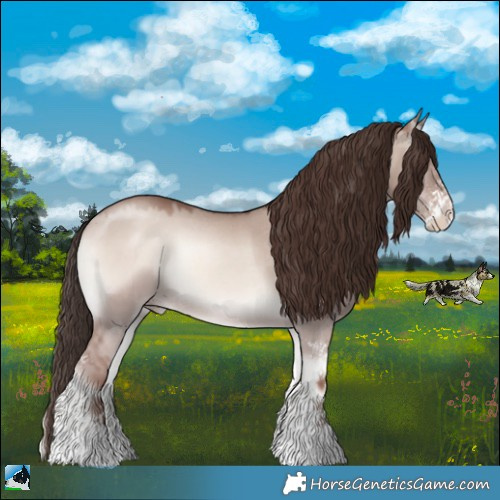 Horse Color:Classic Champagne Onyx Mushroom Sabino Rabicano 