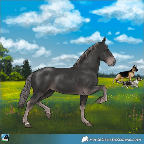 Horse Color:Platinum Liver Chestnut Rabicano 